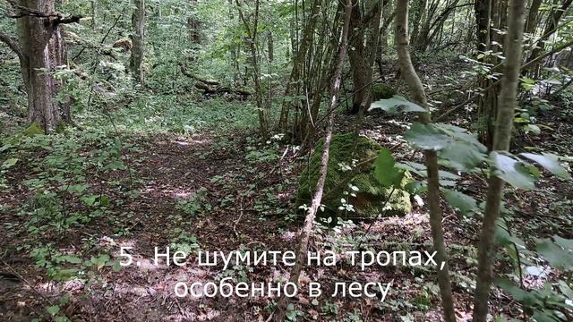 ⛺️ Туристический кодекс этики на тропах – 9 правил поведения