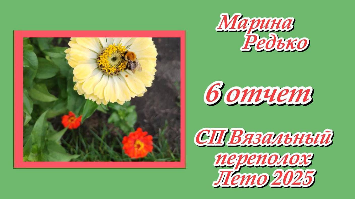 СП "Вязальный переполох Лето 2025" / 6 отчет