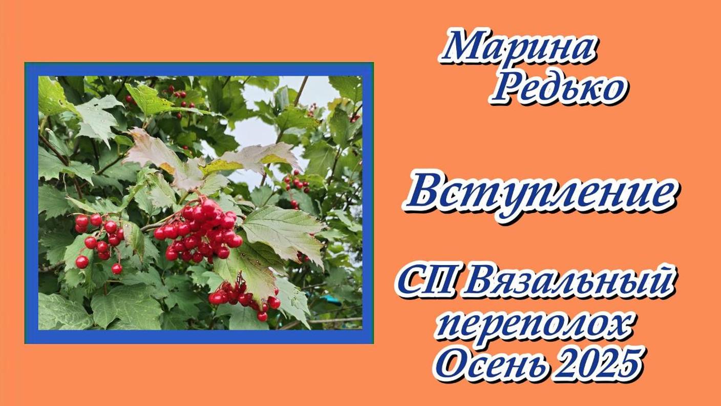 СП "Вязальный переполох. Осень 2025." / Вступление