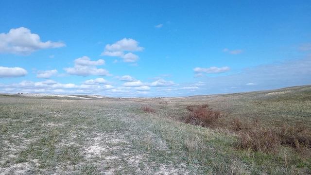 Меловые горы и степь у села Меловое, Озинский район (2).