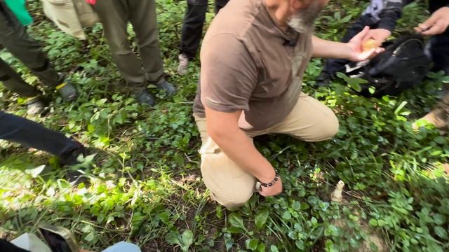 9 августа 2025, Мытищинский лесопарк, бесплатная экскурсия для подписчиков