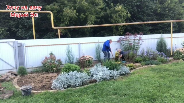 Новый миксбордер на участке. Растения из моих черенков , нашли новое место.