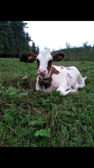 Для неравнодушных. 31.08.25