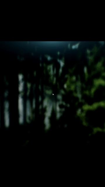 в Питере босиком