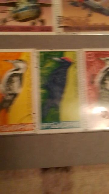 марки, дятлы