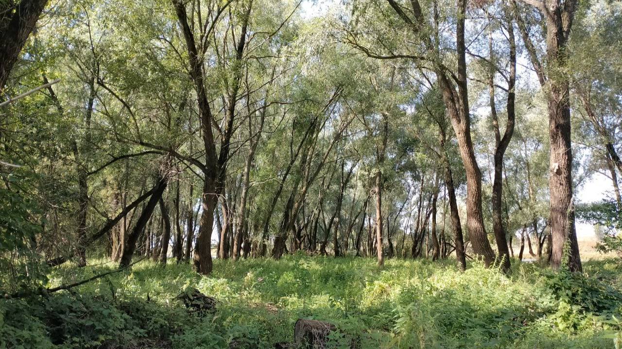 ПРОСТОЙ ПРИМЕР-ТРАТИТЬ НЕ ЗНАЧИТ ЖИТЬ ЛУЧШЕ