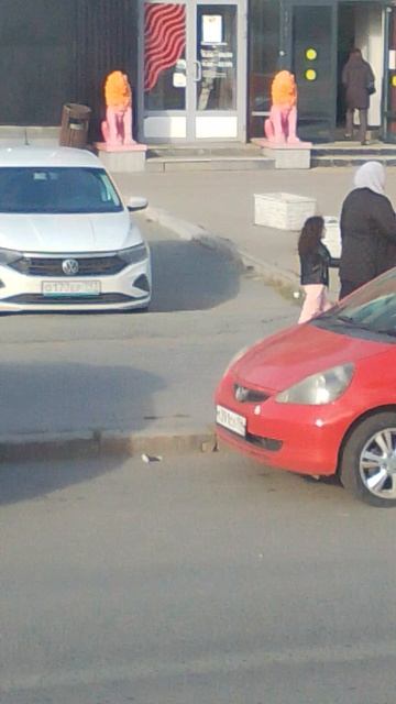 цветные львы