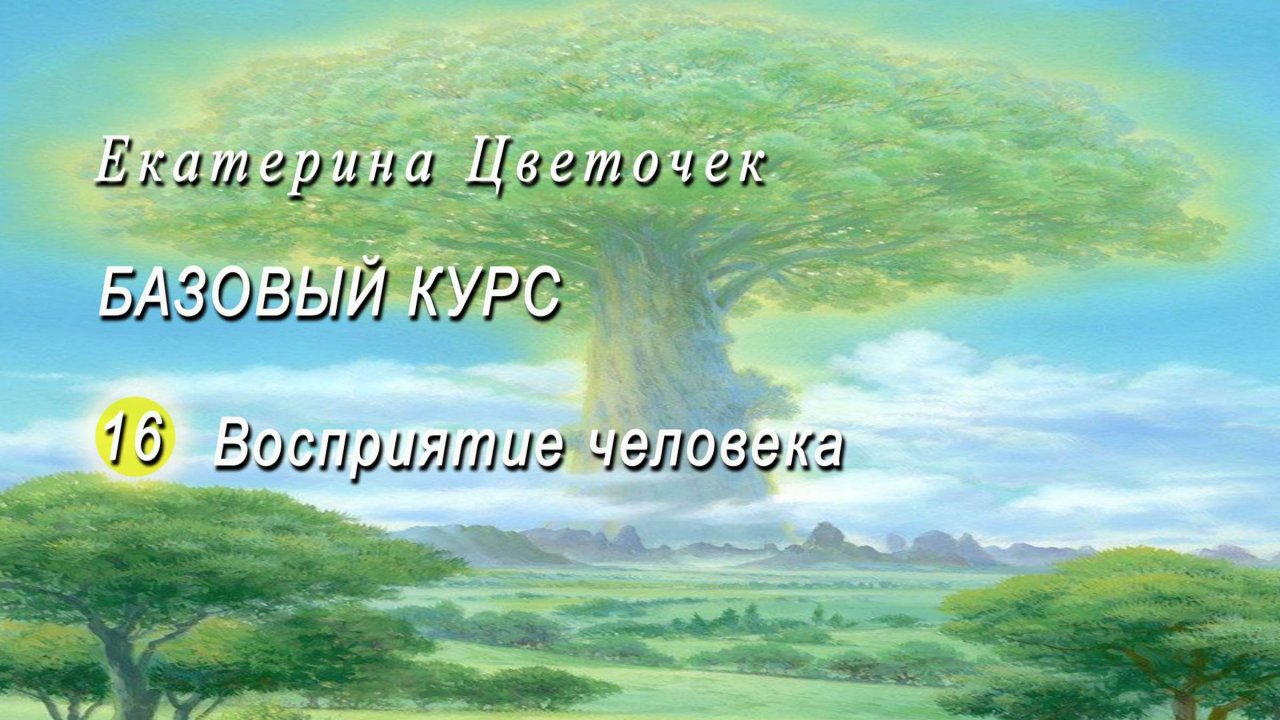 Базовый курс. Восприятие человека