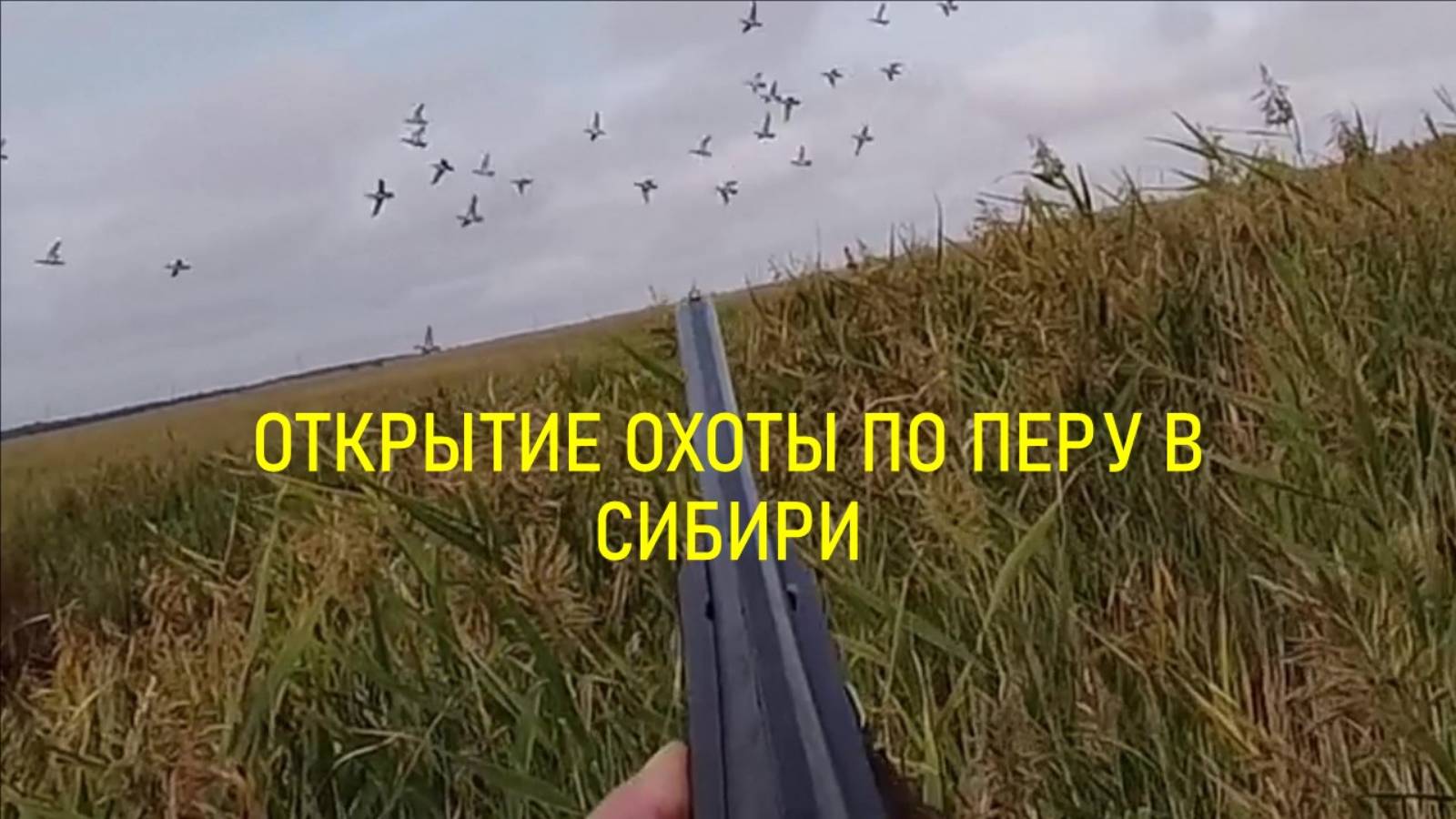 Открытие охоты по перу в Сибири.