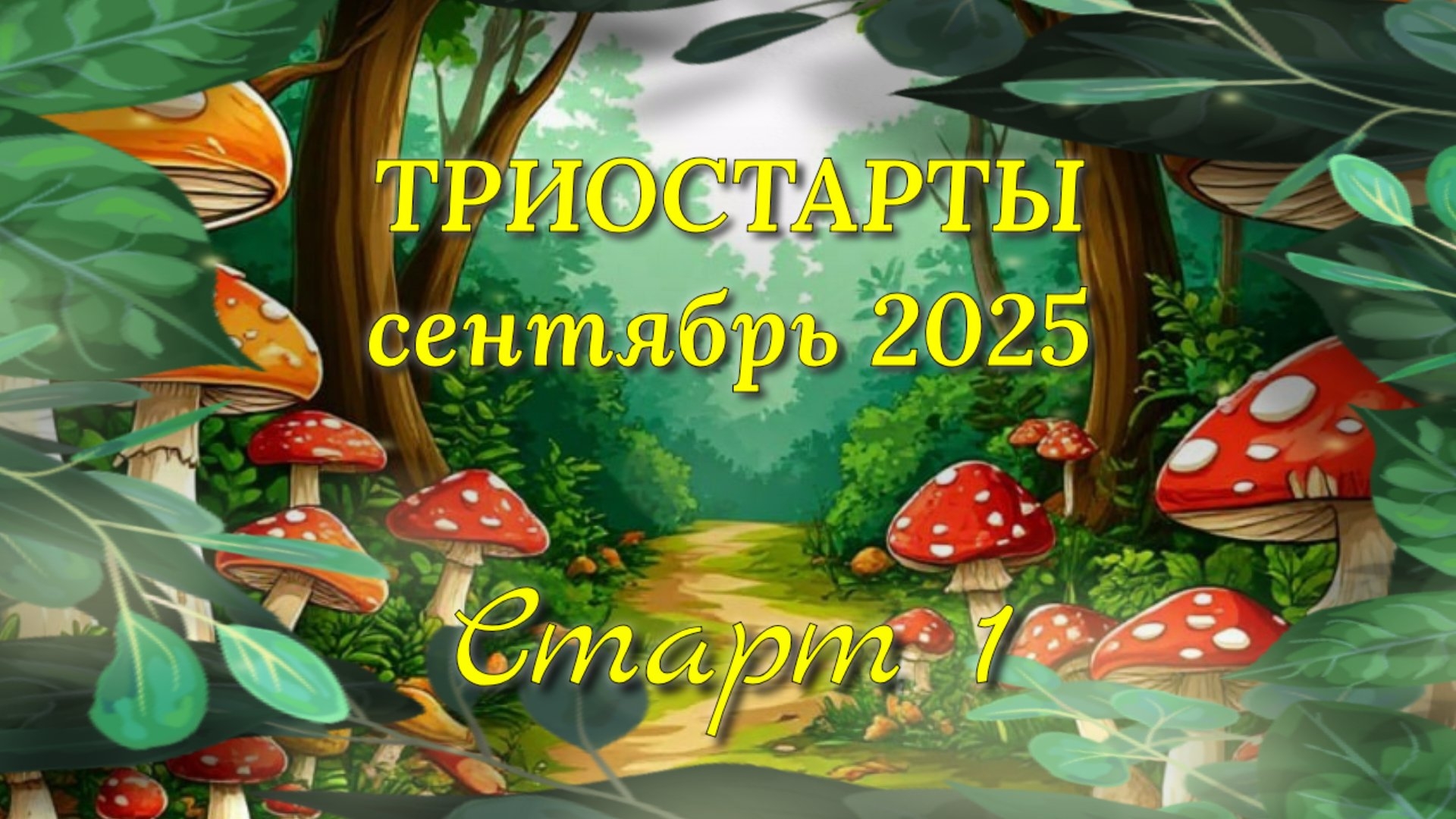 Котошарф спицами. Пряжа и начало процесса. СП Триостарты Сентября. Старт 1