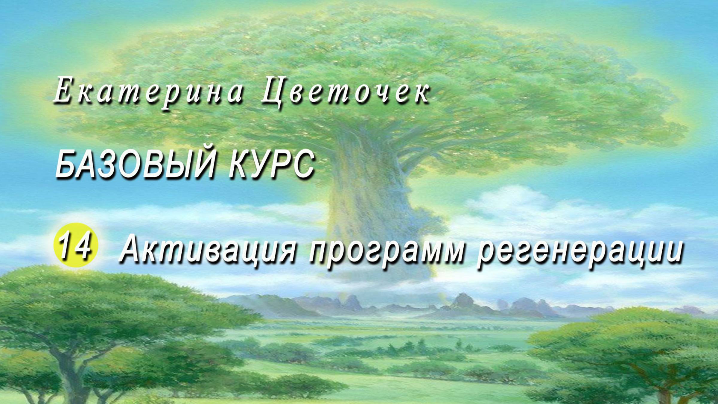 Базовый курс.  Активация программ регенерации