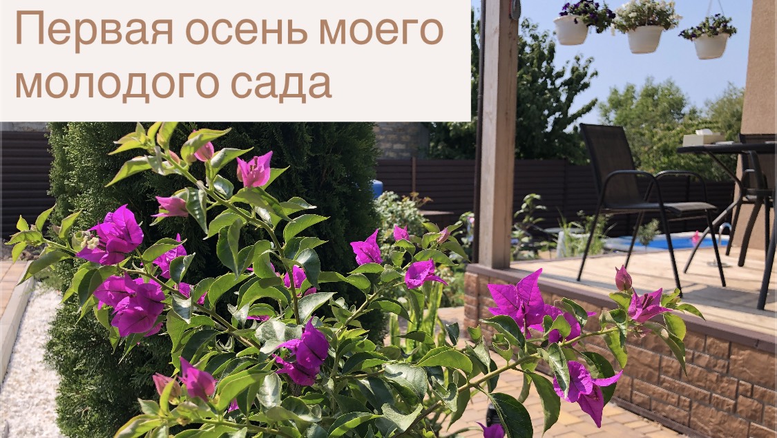 Экскурсия по саду # 7. Встречаем осень