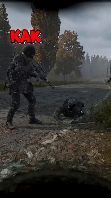 Чем занимаются новички в Сталкер РП