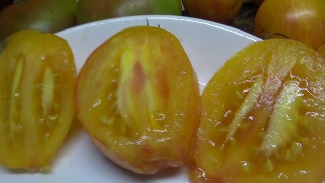 Томаты - новинки 2025 года. Томат Искушение Софии Сааковой. Названию соответствует полностью!