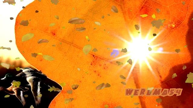 Женщина Осень смешала все  краски Werema54 стихи  Ольга Емельянова]