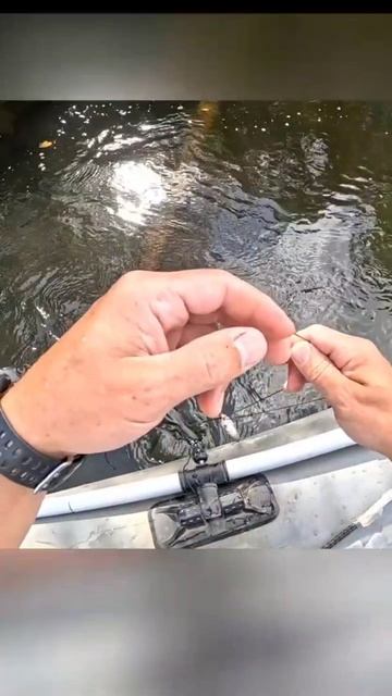 Ну Я и Лошара. Проверка перемёта.