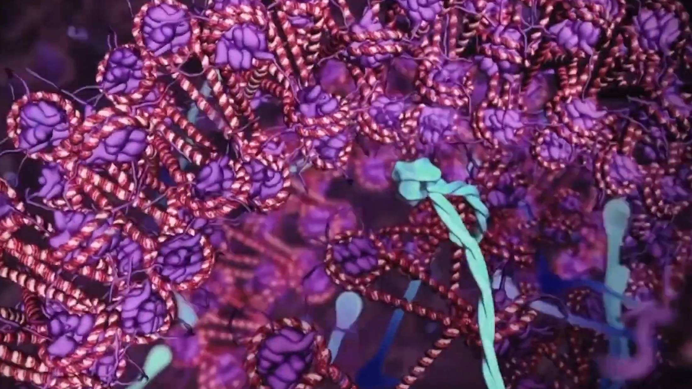 Молекулярные машины