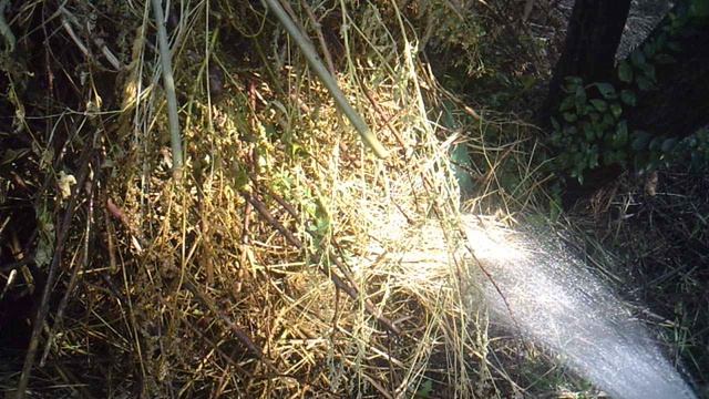 Орошение нашей пополняемой компостной кучи