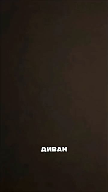 Купили котёнка с лапками-сосисками - он стал звездой!🐈