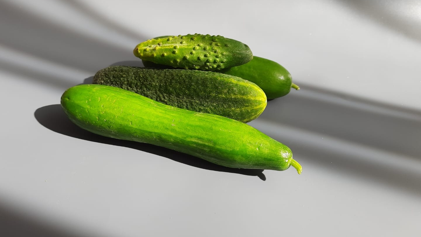 ОГУРЦЫ с ПРИПРАВОЙ ЧИМ ЧИМ на ЗИМУ