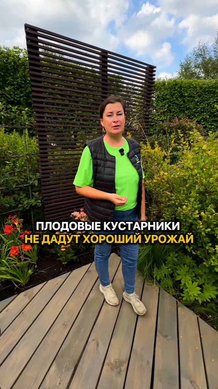 Как подготовить плодовые кустарники к зиме, чтобы получить большой урожай в следующем сезоне?