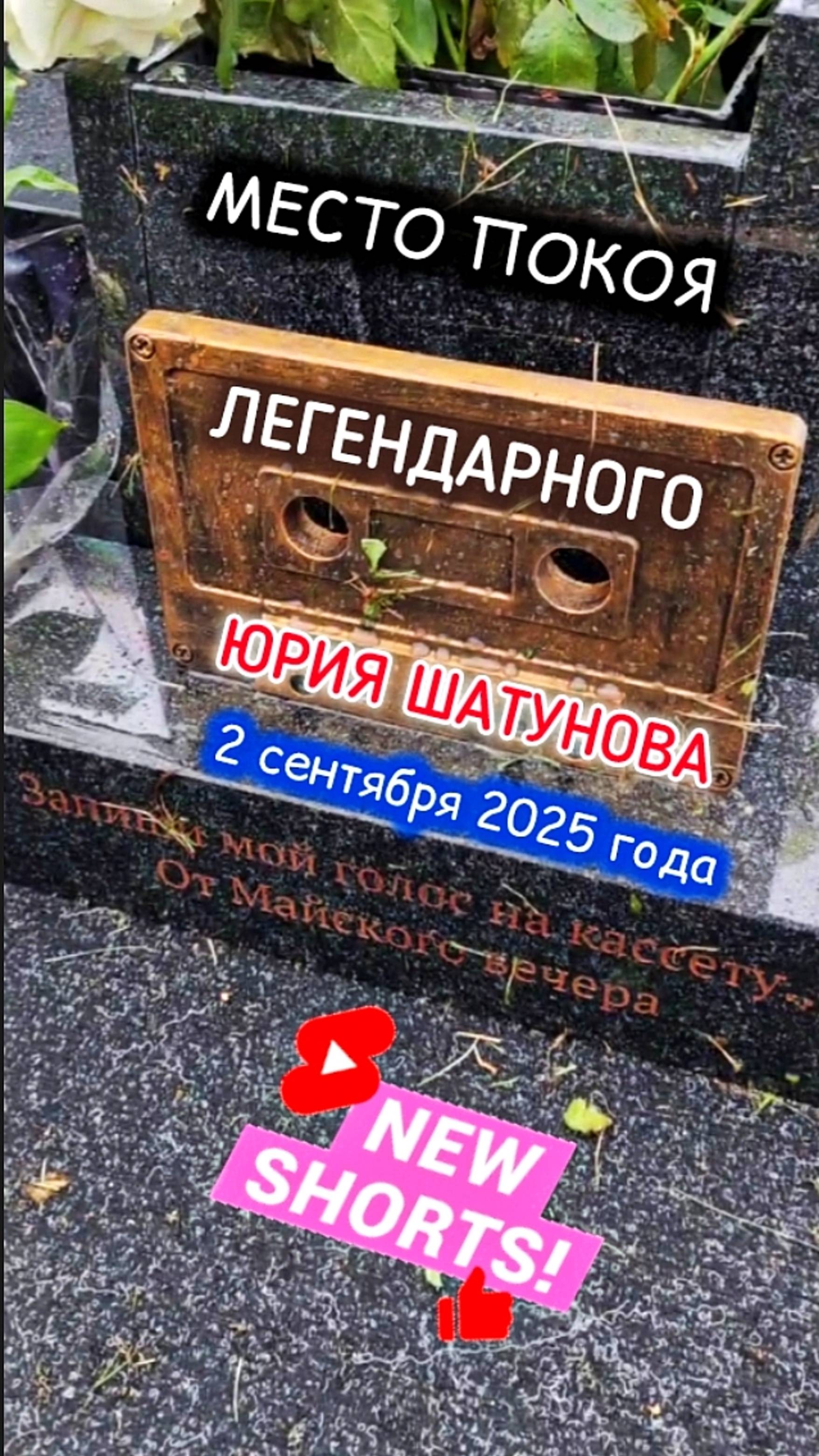 ностальгия - это память: могила Юрия Шатунова #shorts #2025 #шатунов #short #белыерозы #ласковыймай