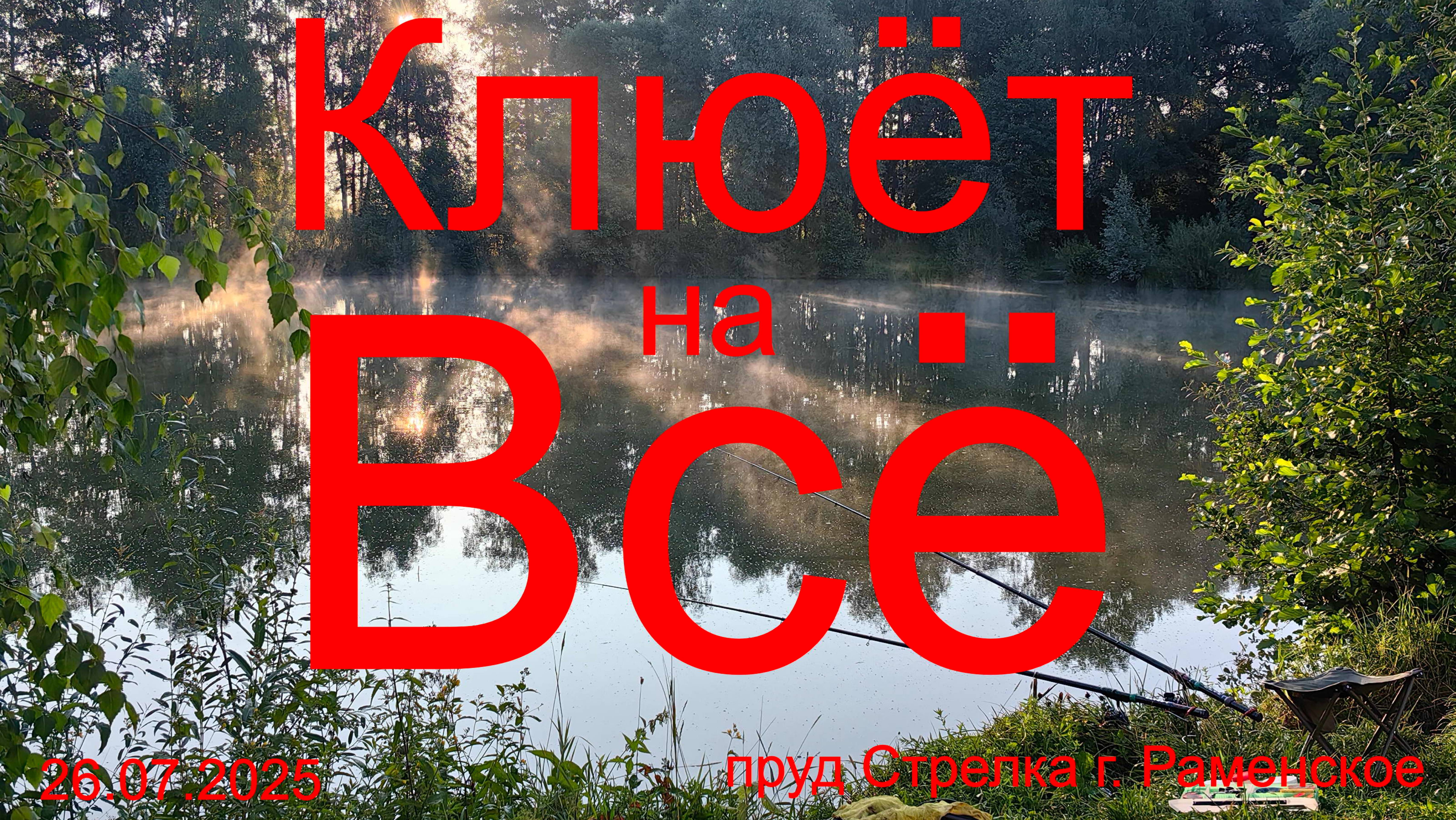 Клюёт на всё.  26.07.2025. пруд Стрелка. г. Раменское. Рыбалка в Подмосковье.