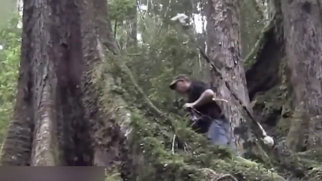 В Новой Зеландии НАШЛИ то что ПОЛНОСТЬЮ МЕНЯЕТ историю ПЛАНЕТЫ ЗЕМЛЯ