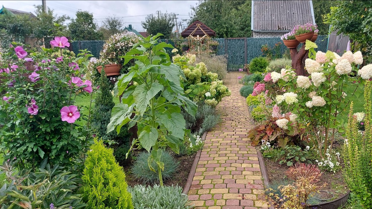 Вот и лето прошло🌸 А садовые хлопоты нет. Преображение очередного цветника🌞 #любимаядача