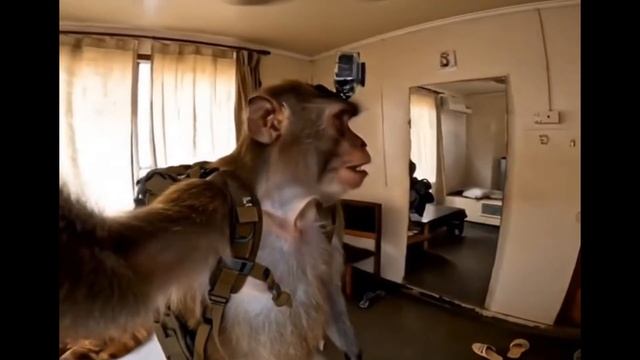 Гоша блогер, нейросети.