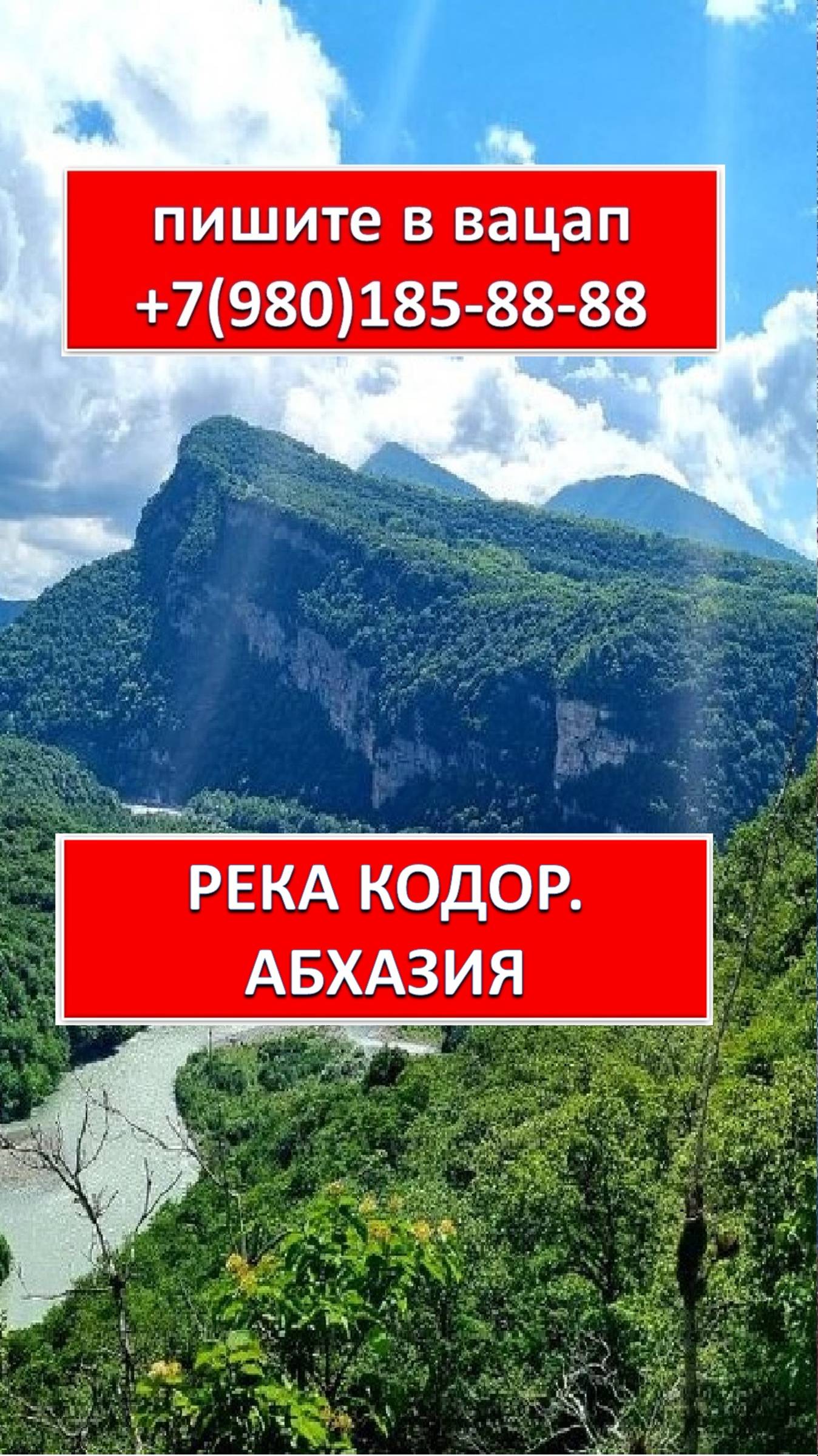 ГОРНАЯ РЕКА КОДОР. АБХАЗИЯ