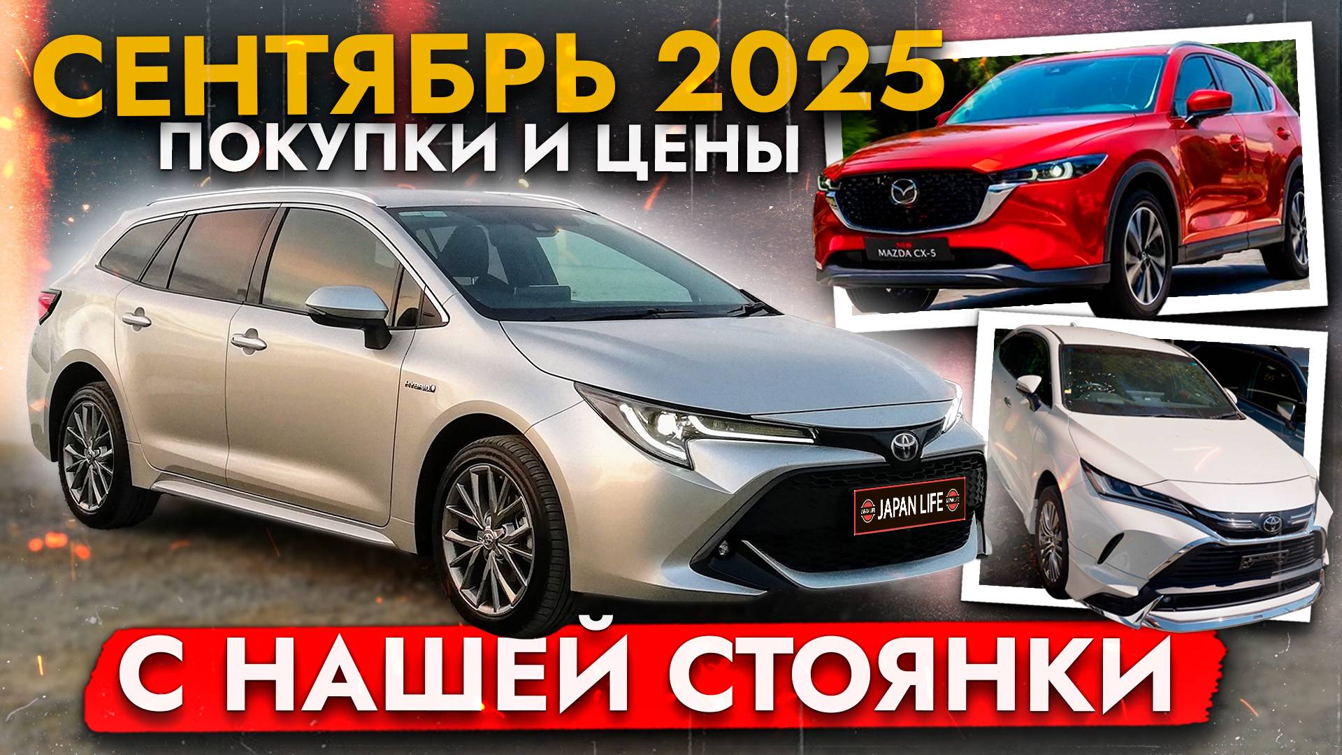 ЦЕНЫ на АВТО - сентябрь 2025❗ Автомобили под заказ. Бюджетные и премиум авто. Что выгодно купить❓