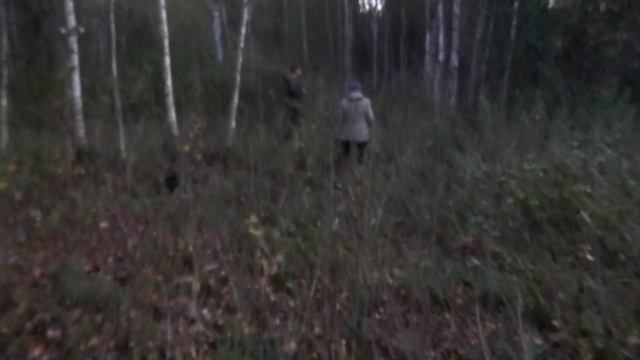 Деревенские приколы. Собираем грибы 9 сентября 3 часть