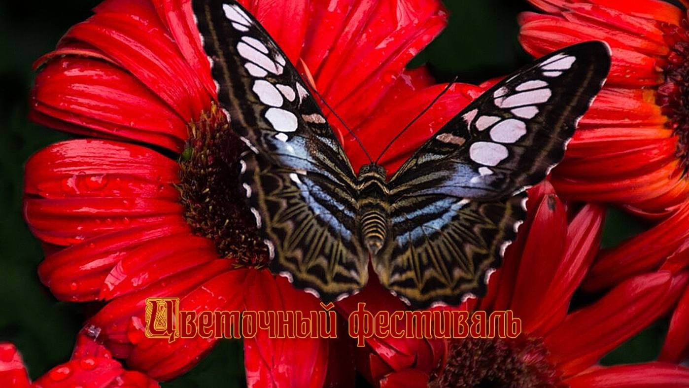 Цветочный фестиваль*