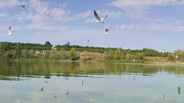 Отдых на Волге\\ Прогулка на лодке \\Рыбалка\\ Сбор рыжиков 1.09.2025