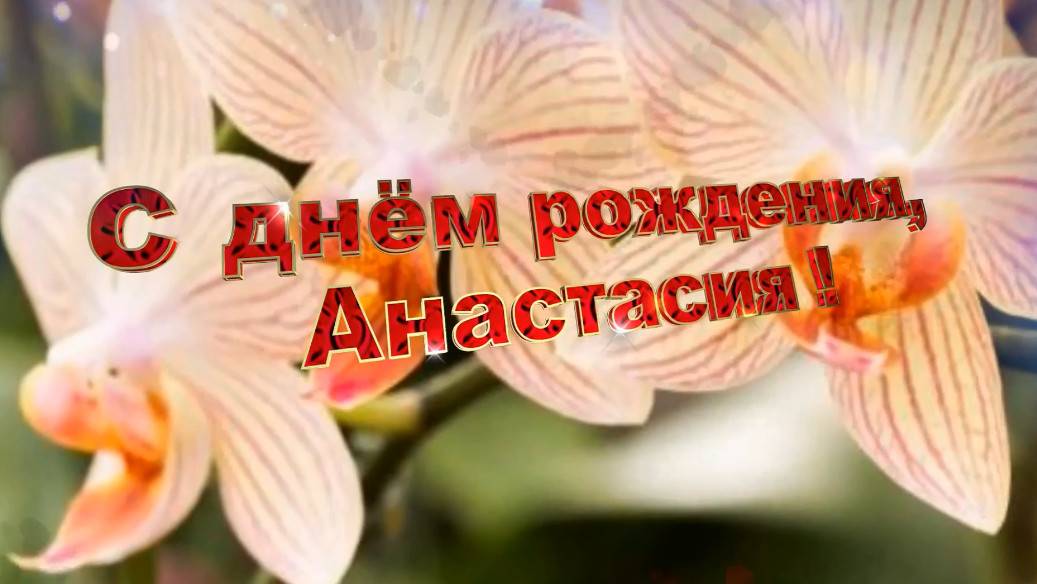 С днем рождения, Анастасия! Поздравления для Анастасии