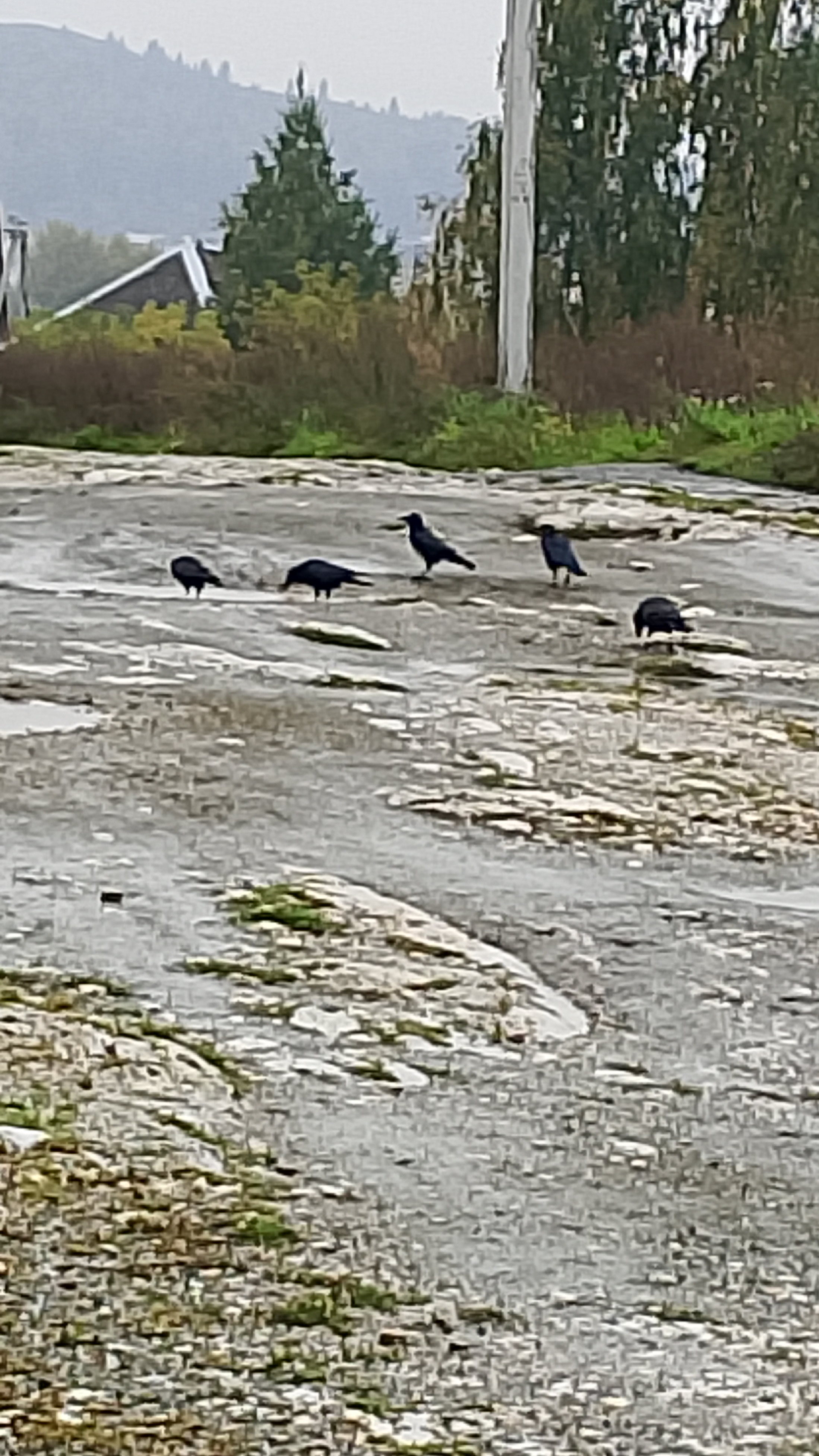 Утро, третье сентября! Кажется, дождь, это –навечно!