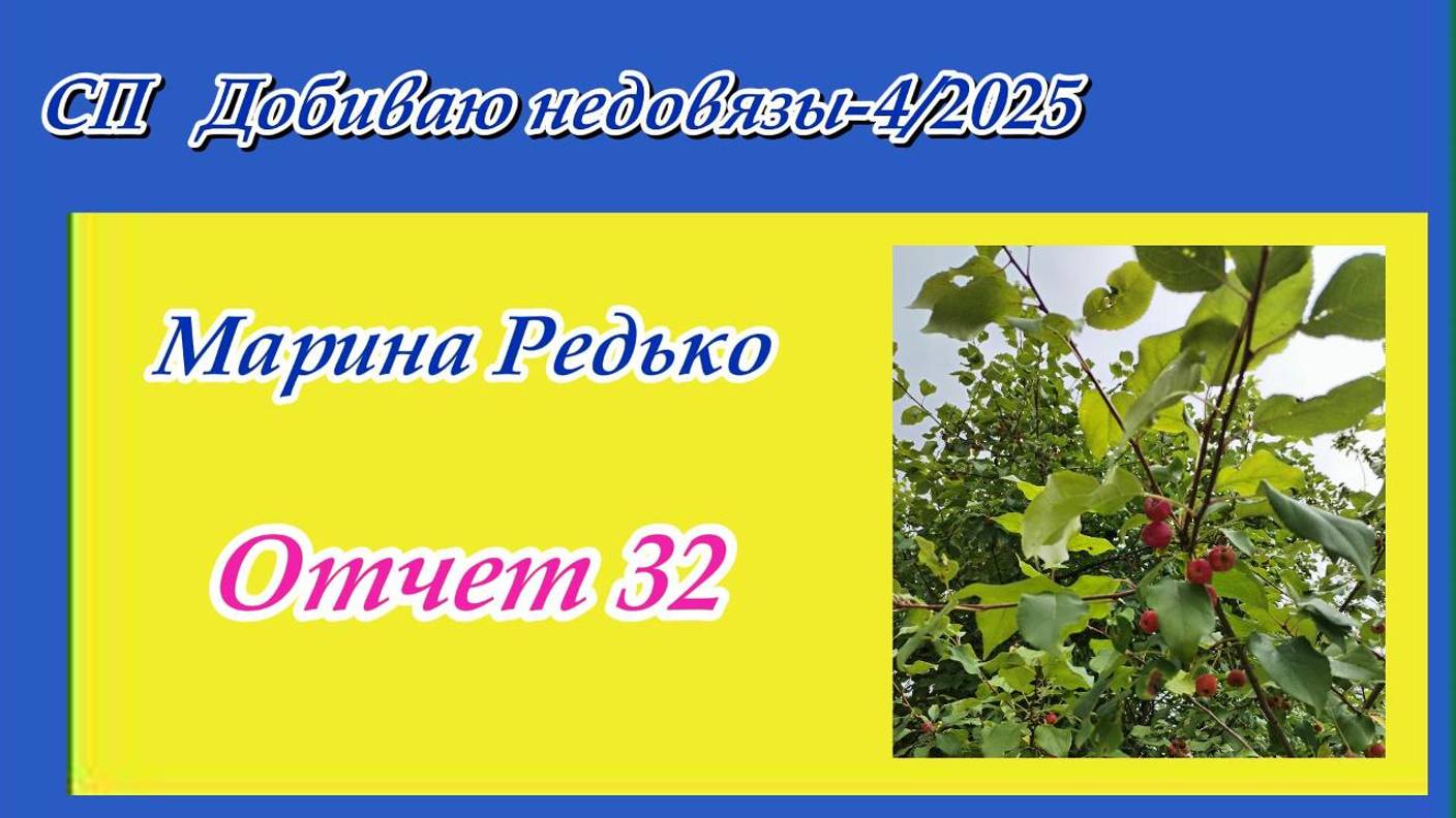 СП "Добиваю недовязы 4/2025" / Отчет 32