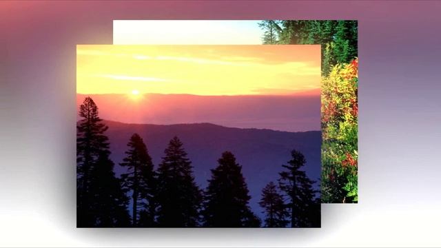 Nilotpala - Комната Желаний