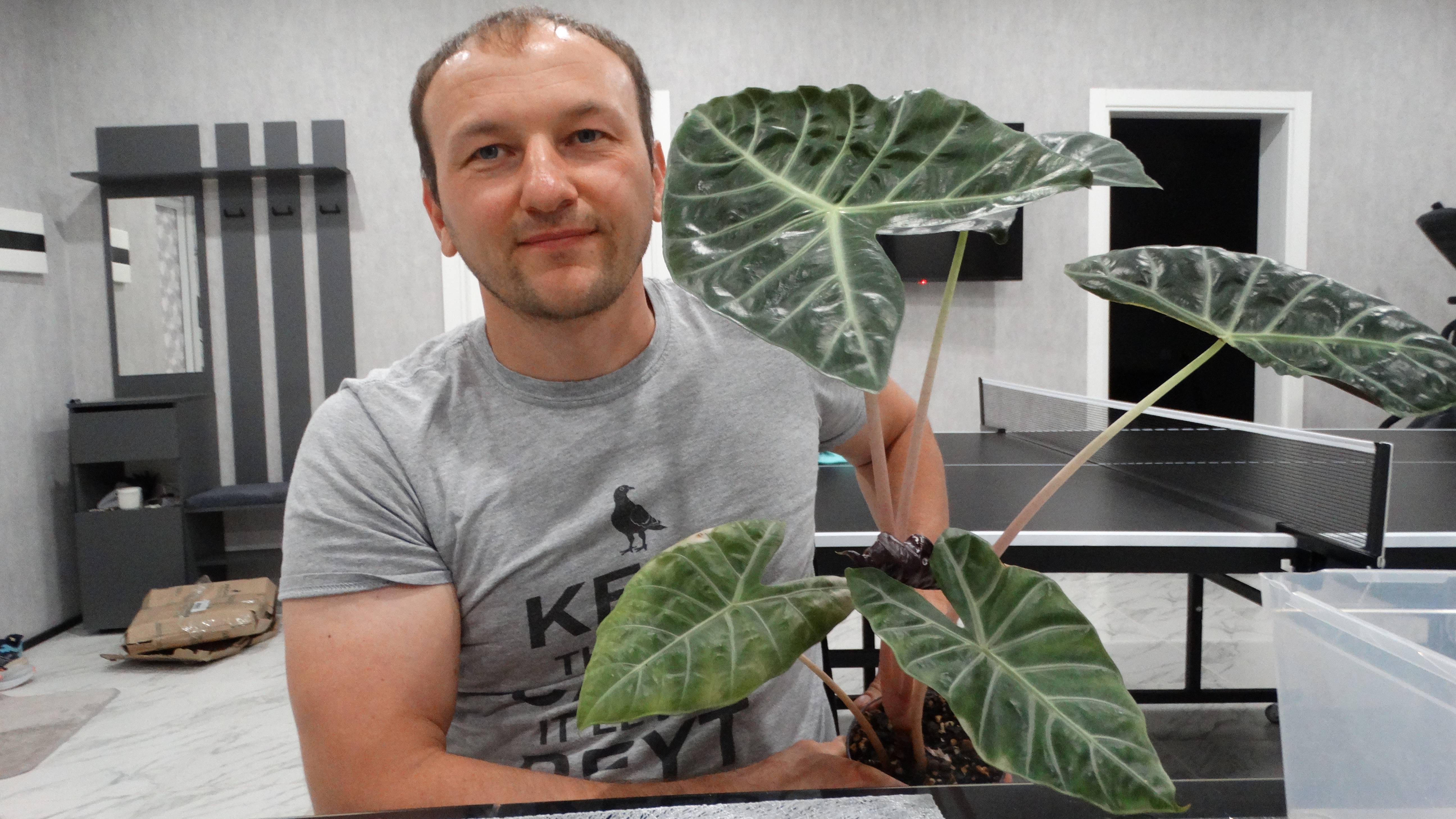 Цветочные новости август