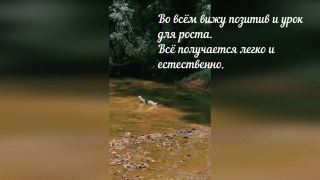 Аффирмация дня 04.09.2025