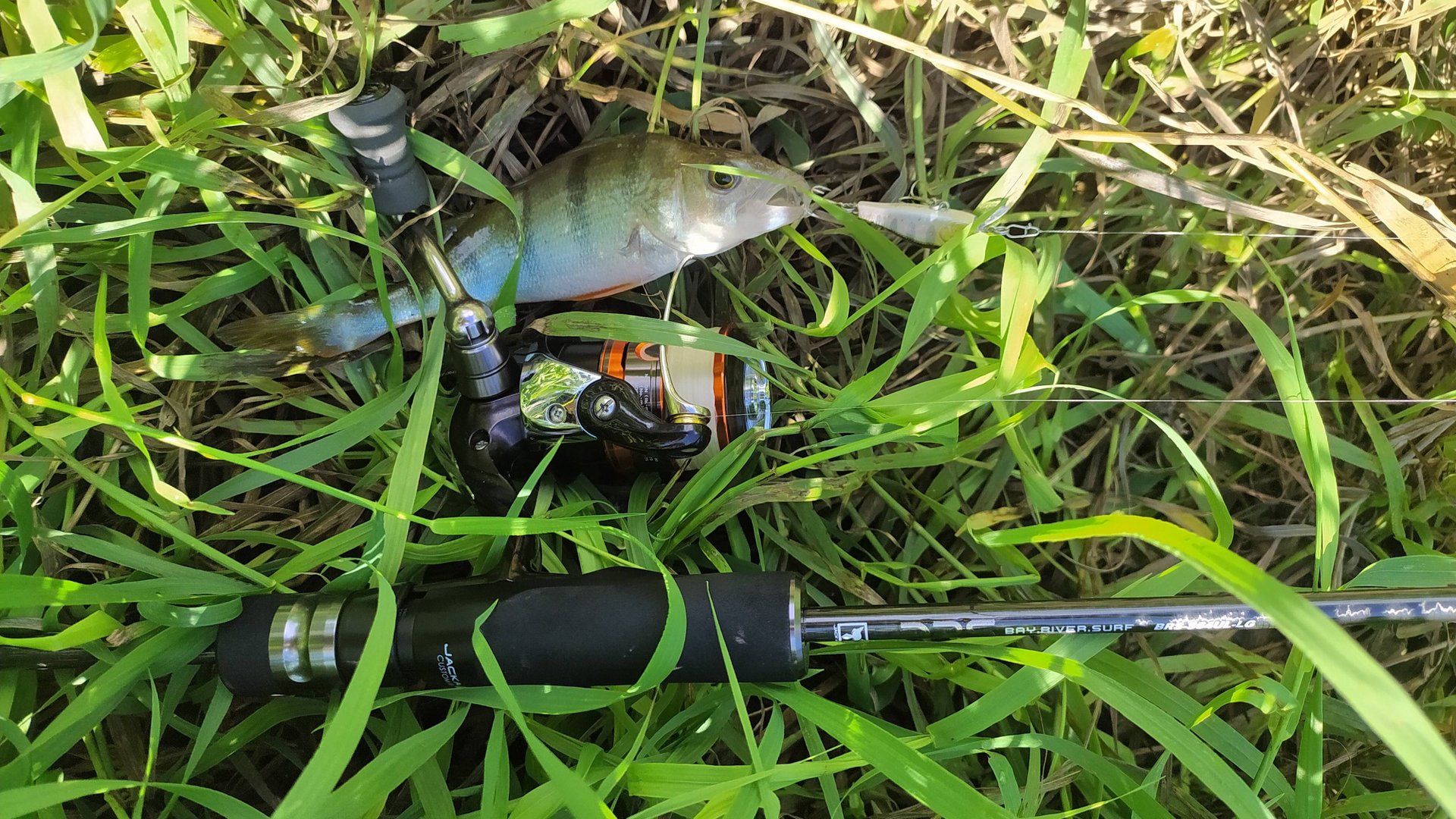 Десна. Утром 28 августа 2025 года