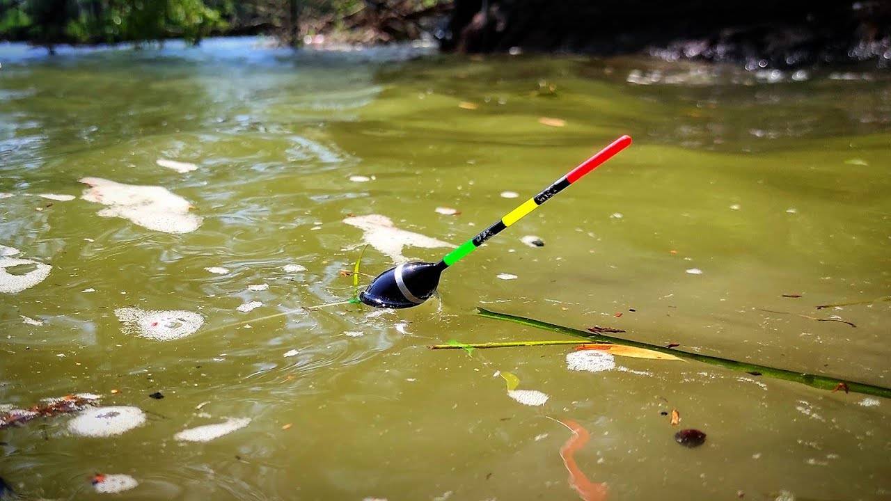 НАЧАЛО АВГУСТА УДИВИЛО! Сменил поплавок на ПИКЕР и ВЫШЕЛ КРУПНЯК! Рыбалка 2025