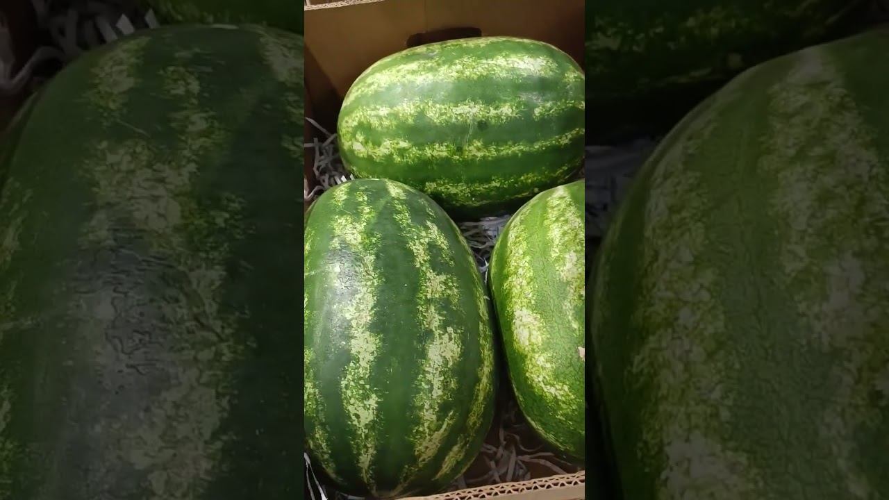 Арбузы в Мае! Берем?