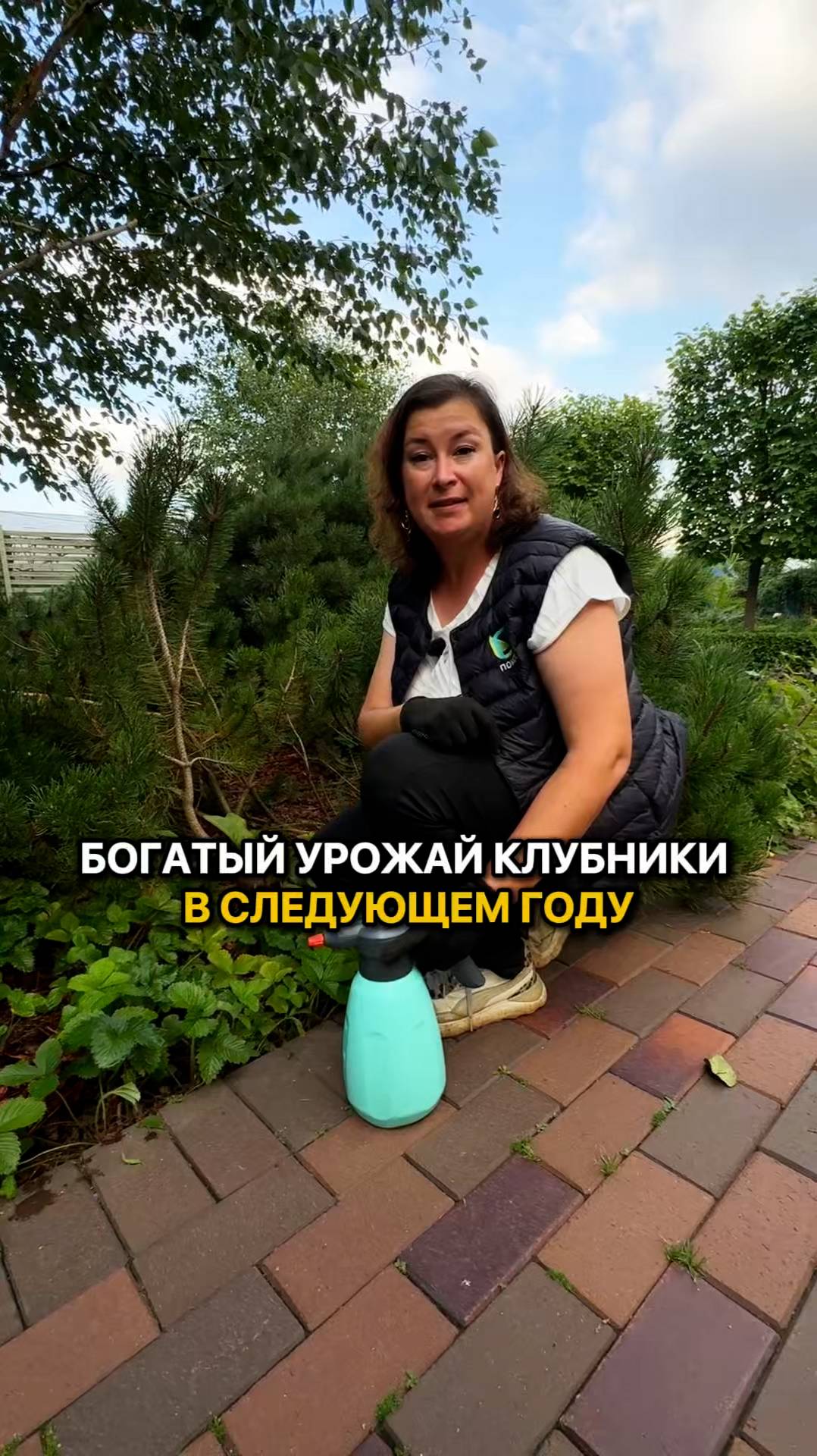 Сделайте это сейчас и урожай клубники в следующем году будет ОГРОМНЫМ!