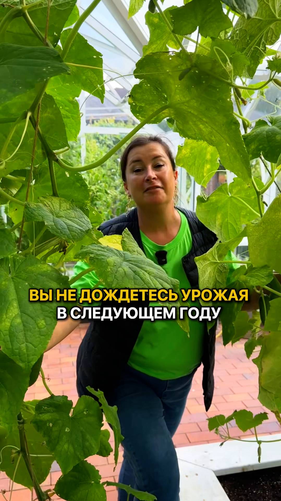 Уход за теплицей осенью.