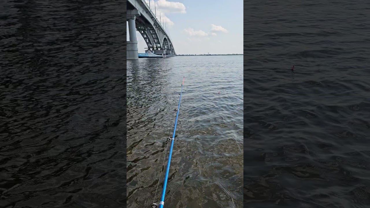 Рыбалка на Волге