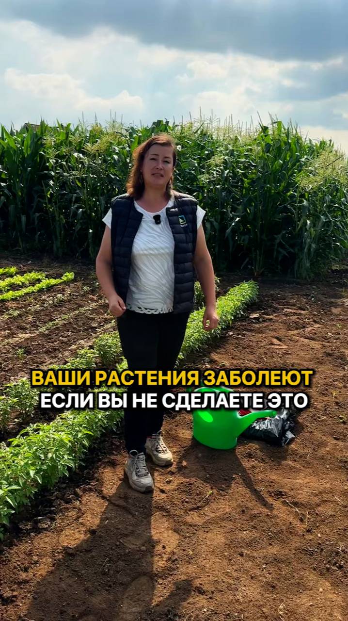 Сделайте ЭТО в конце сезона, чтобы растения не заболели!