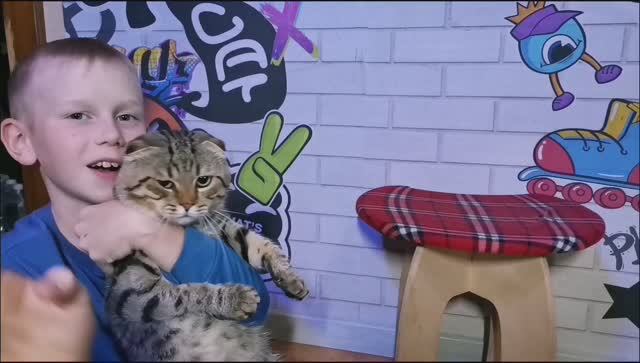 Барсику 3 года!