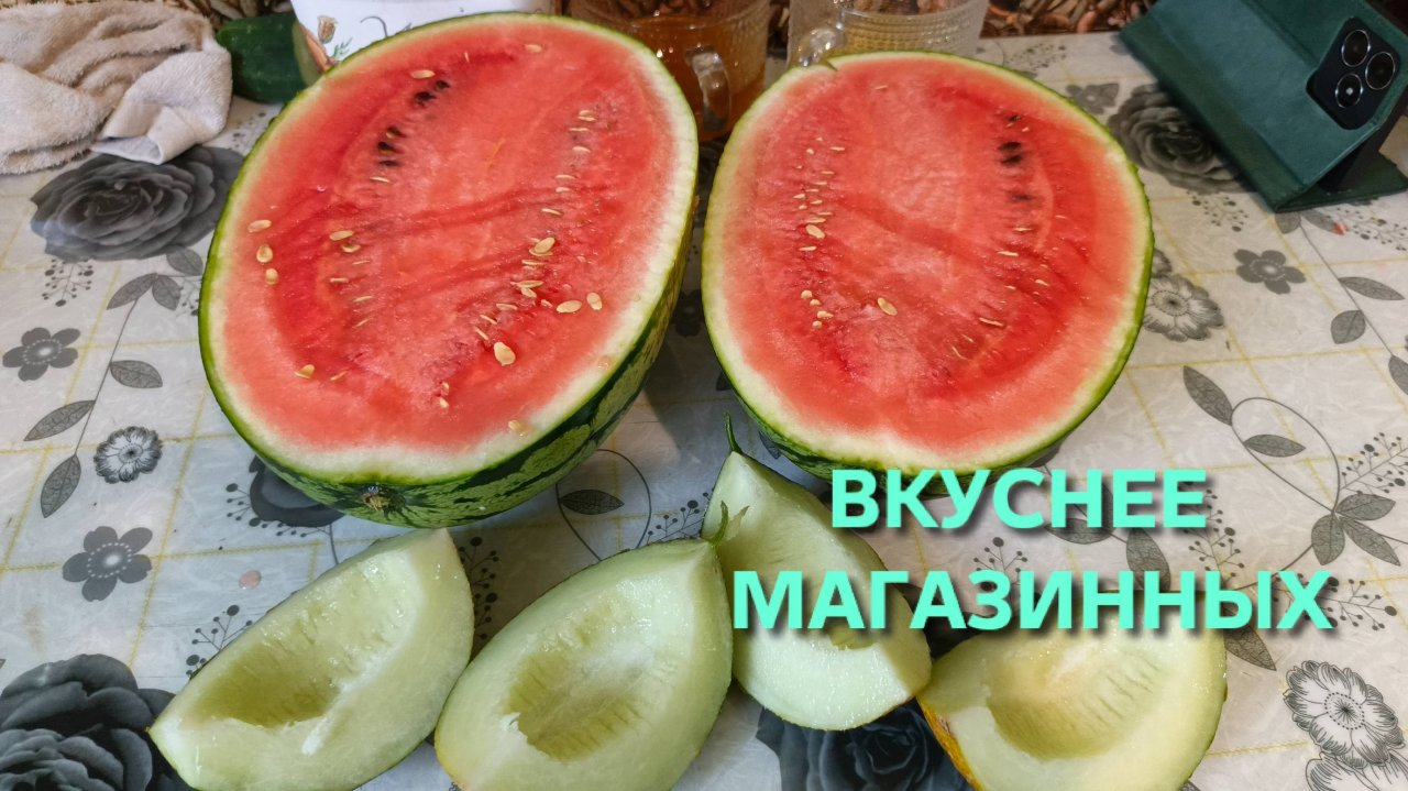 Наши Сибирские арбузы и дыни созрели они даже вкуснее магазинных